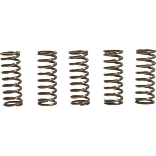 EBC - EBC CSK Clutch Spring Kit - CSK156