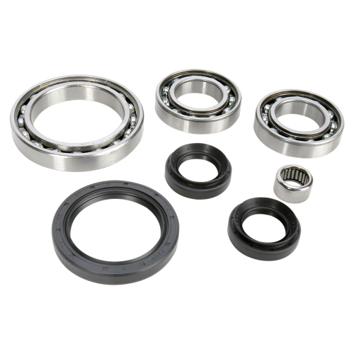 All Balls - All Balls Differential Bearing and Seal Kit - 25-2074