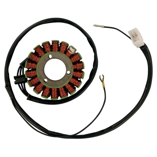 Ricks Motorsport Electric - Ricks Motorsport Electric Stator - 21-228
