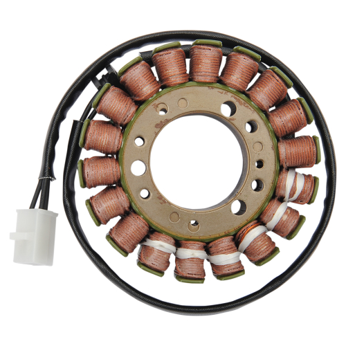 Ricks Motorsport Electric - Ricks Motorsport Electric Stator - 21-005