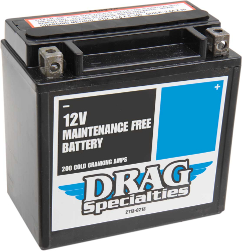 Drag Specialties - Drag Specialties AGM Maintenance-Free Battery - DTX14L-BS
