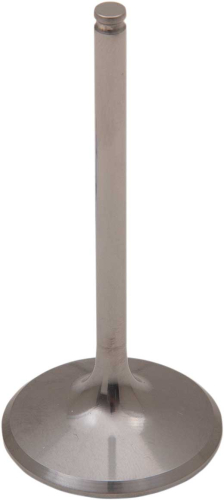Del West - Del West Titanium Intake Valve - DW-CRF450R-IV09
