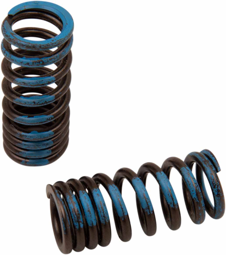 Xceldyne - Xceldyne Intake Valve Springs - PSIMX2006