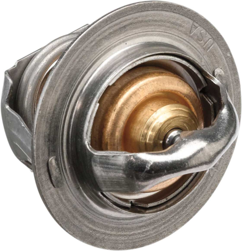 Moose Utility - Moose Utility Polaris Thermostat - 1902-1379