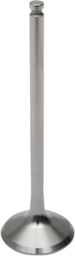 Del West - Del West Titanium Exhaust Valve - DW-YZ250F-EV14
