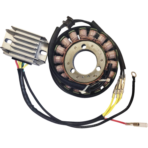 Ricks Motorsport Electric - Ricks Motorsport Electric Charging Kit - Kawasaki - 99-200H
