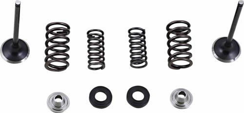 Moose Racing - Moose Racing Exhaust Stainless Valve and Spring Kit - 0926-3304