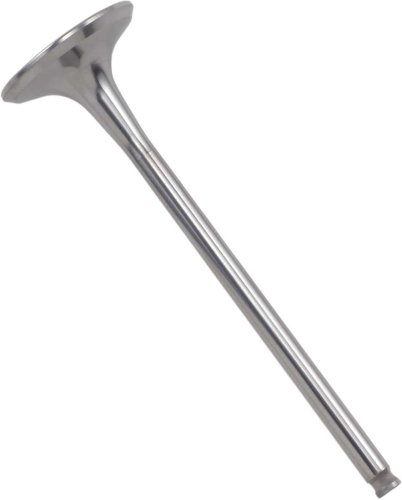 Del West - Del West Titanium Exhaust Valve - DW-CRF250R-EV10