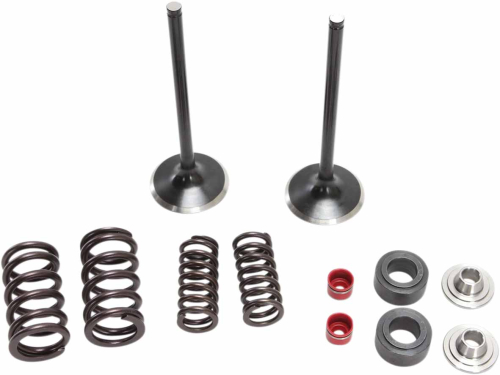 Moose Racing - Moose Racing Intake Valve Kit - 0926-2932
