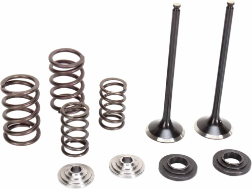 Moose Racing - Moose Racing Exhaust Valve Kit - 0926-2468