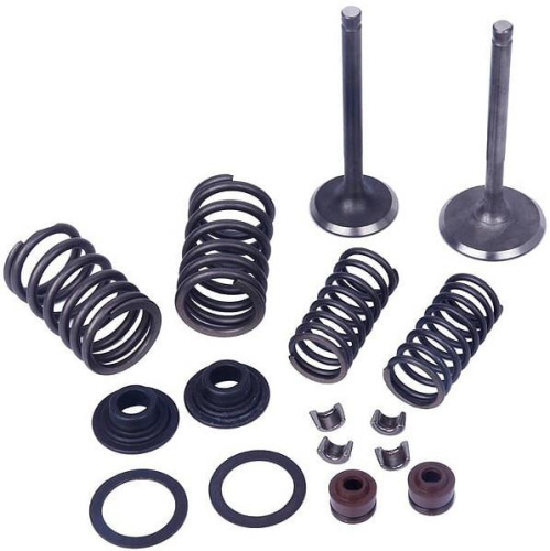 Outside Distributing - Outside Distributing Valve Kit - Vertical Engines - 125/150cc - 61-0220