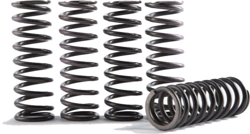 Hinson Racing - Hinson Racing Hi-Temp Clutch Spring Kit - CS641-6-1901