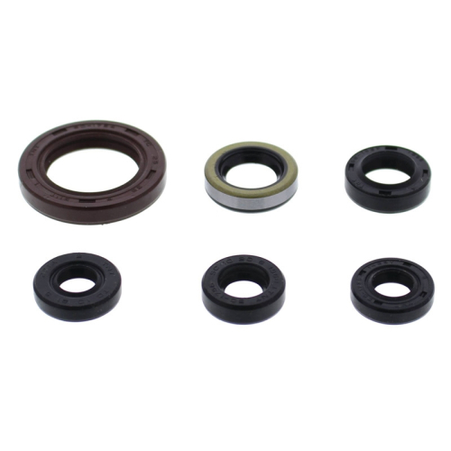 Vertex - Vertex Oil Seal Kit - 822973