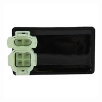 Wild Boar - Wild Boar Racing CDI - IYA6017