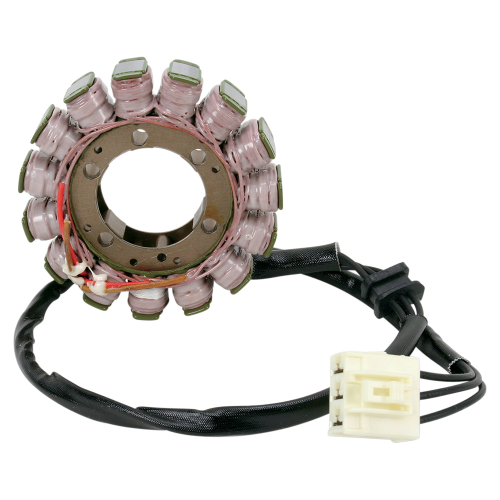 Ricks Motorsport Electric - Ricks Motorsport Electric Stator - 21-231