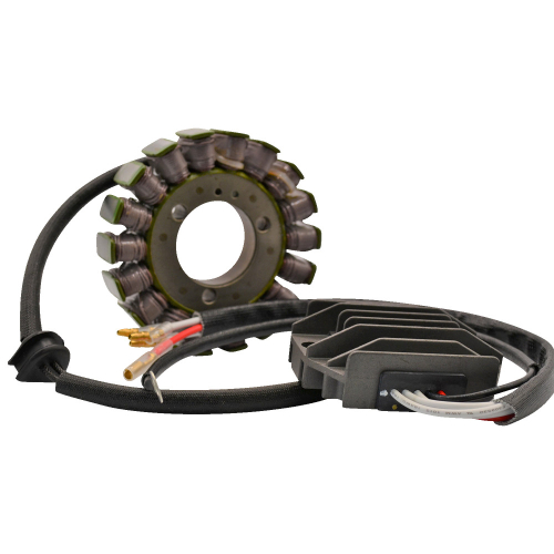 Ricks Motorsport Electric - Ricks Motorsport Electric Lithium-Ion Charging Kit - Kawasaki - 14-99-200H