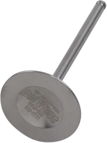 Del West - Del West Titanium Intake Valve - DW-RMZ450-IV05