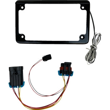 Custom Dynamics - Custom Dynamics LED License Plate Frame with Tag Illumination - CD-LPF-RZR2