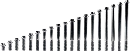 Diamond Engineering - Diamond Engineering 12-Point Stainless Steel Coarse Thread Bolt Refill Packs - 1/4in.- 20 x 1/2in. - TC0404HP-10