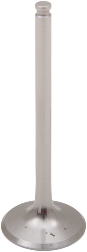 Del West - Del West Titanium Exhaust Valve - DWLTR450EV11HFP