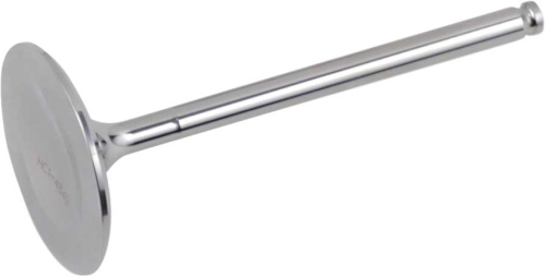 Del West - Del West Titanium Intake Valve - DWLTR450IV11HFP