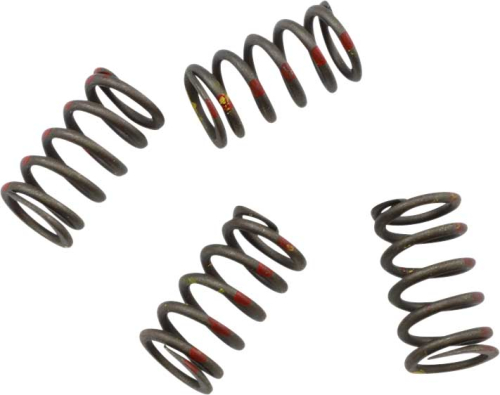 KG Clutch Factory - KG Clutch Factory High Performance Clutch Spring Set - KGS-012