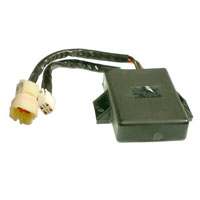 Wild Boar - Wild Boar High Performance CDI - IYA6021