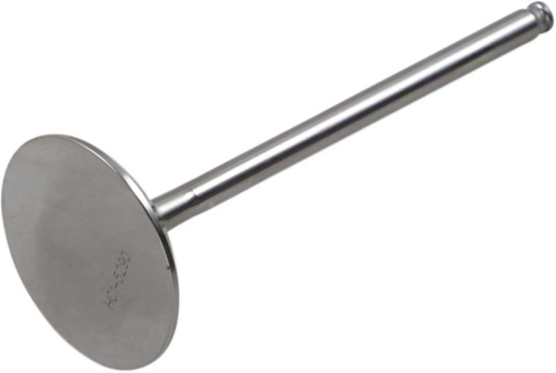 Del West - Del West Titanium Intake Valve - No Dish - DW-KX250FIV09ND