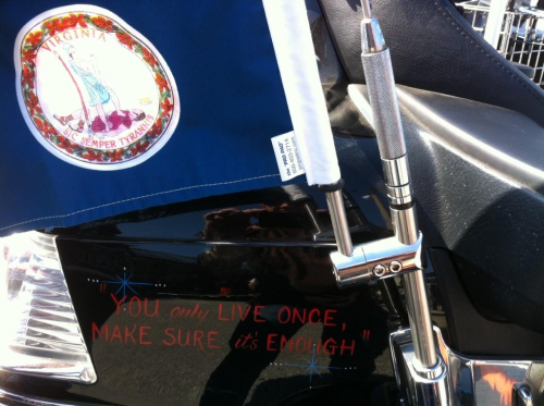 Pro Pad - Pro Pad Antenna Flag Mount with Flag for Gold Wing - 9in. - RFM-RDGA