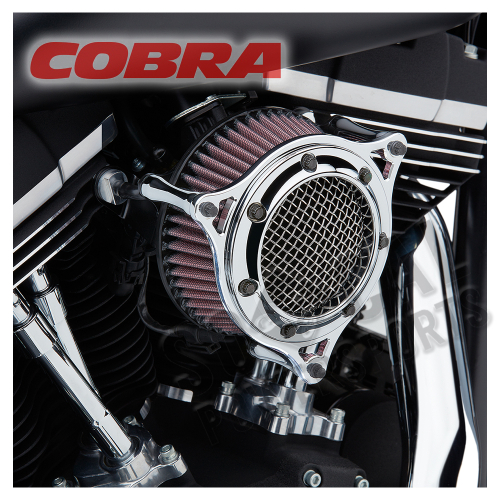 Cobra - Cobra RPT Air Intake - Chrome - 606-0102-05