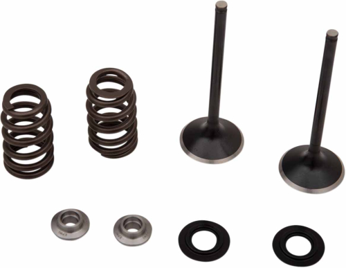 Moose Racing - Moose Racing Exhaust Valve Kit - 0926-3197