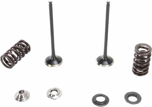 Moose Racing - Moose Racing Exhaust Valve Kit - 0926-2571