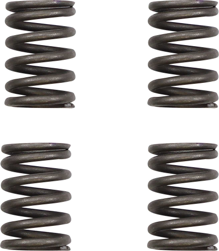 KG Clutch Factory - KG Clutch Factory High Performance Clutch Spring Set - KGS-039