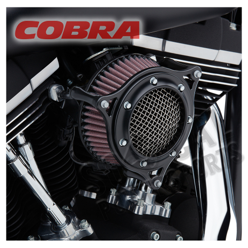 Cobra - Cobra RPT Air Intake - Black - 606-0103-05B