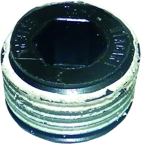 WSM - WSM Jet Pump Rear Plug - 003-720-01B