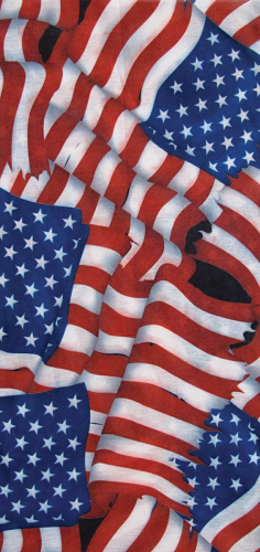 Schampa - Schampa Tube - TUBE-24 - American Flag - OSFM