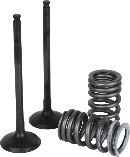 Wiseco - Wiseco Garage Buddy Exhaust Valve Kit - SVK2402-E