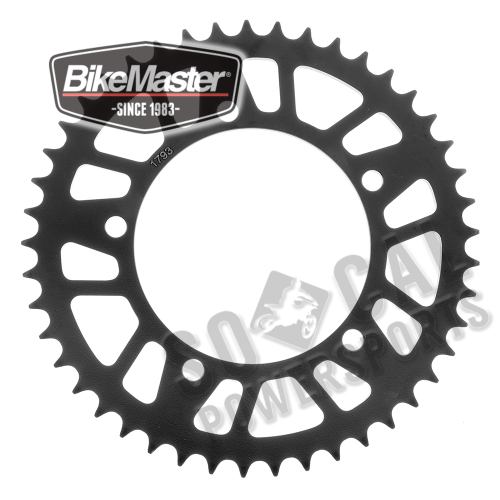 BikeMaster - BikeMaster Steel Rear Sprocket - 42T - 965244