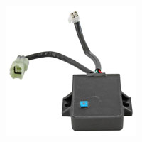 Wild Boar - Wild Boar Racing CDI - IYA6020