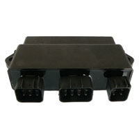 Wild Boar - Wild Boar High Performance CDI - IYA6037