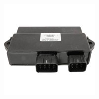 Wild Boar - Wild Boar High Performance CDI - IYA6042