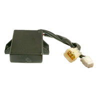 Wild Boar - Wild Boar Racing CDI - IYA6022