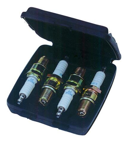 Katahdin - Katahdin Spark Plug Katty - KG04