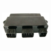 Wild Boar - Wild Boar High Performance CDI - IYA6044