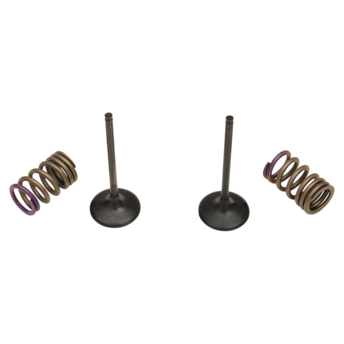 Pro-X - Pro-X Steel Intake Valve and Spring Kit - 28.SIS4338-2