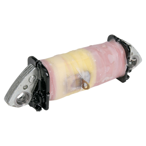 Ricks Motorsport Electric - Ricks Motorsport Electric Pulser/Source Coil - 22-601