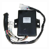 Wild Boar - Wild Boar High Performance CDI - IYA6029