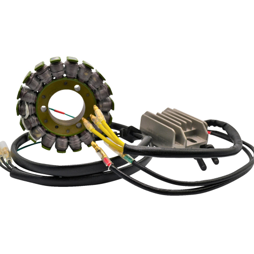 Ricks Motorsport Electric - Ricks Motorsport Electric Lithium-Ion Charging Kit - Kawasaki - 14-99-201H