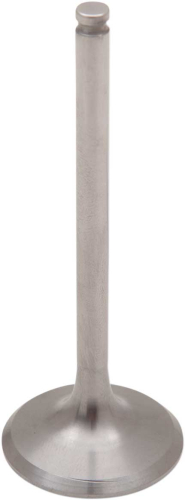 Del West - Del West Titanium Exhaust Valve - DW-KX450F-EV06