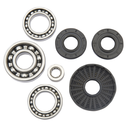 All Balls - All Balls Differential Bearing and Seal Kit - 25-2016